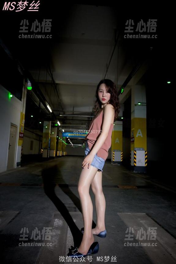 梦丝女神 - 最近有点沉迷，晓晓的蕾丝女仆，快来免费下载吧！